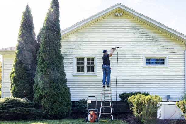 Best Commercial Building Pressure Washing  in Bellaire, TX
